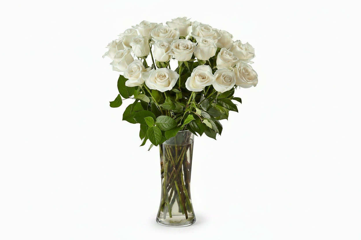 Long Stem White Roses