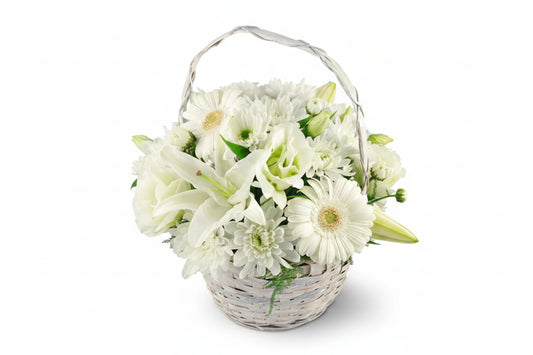 Finding Comfort Basket