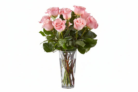 Long Stem Pink Roses