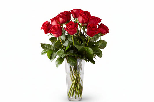 Long Stem Red Roses