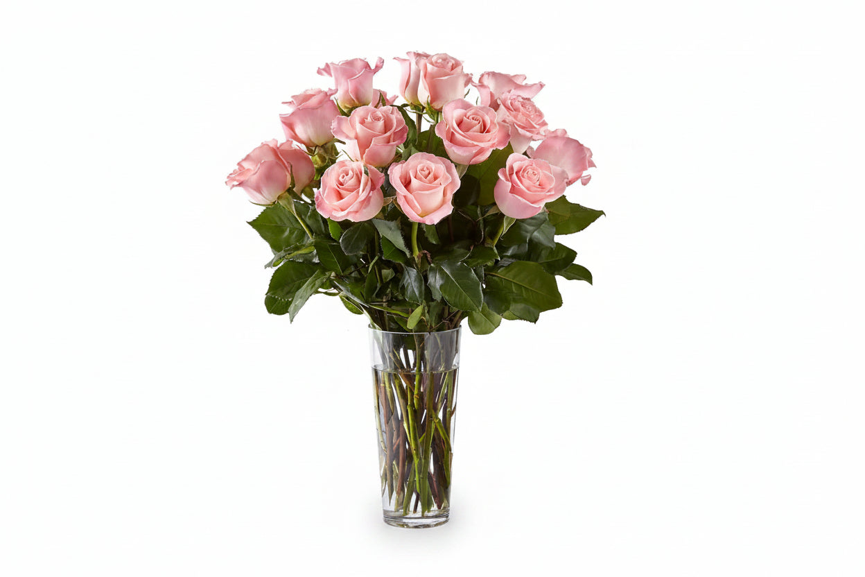 Long Stem Pink Roses