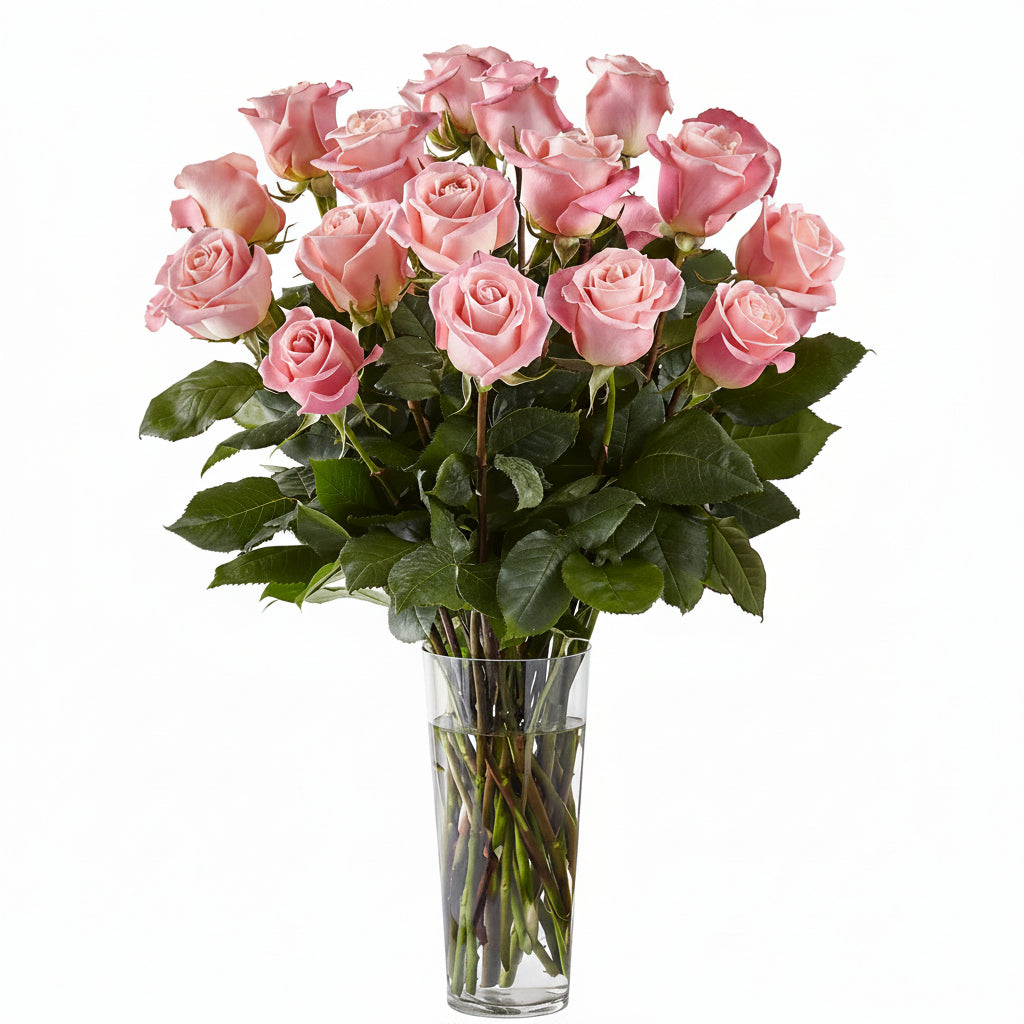 Long Stem Pink Roses
