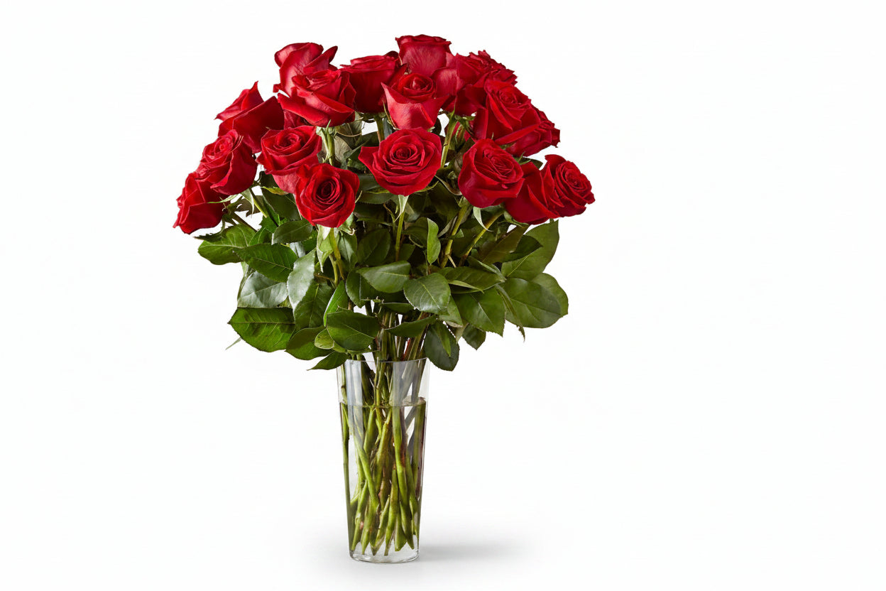 Long Stem Red Roses