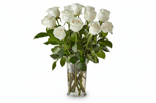 Long Stem White Roses