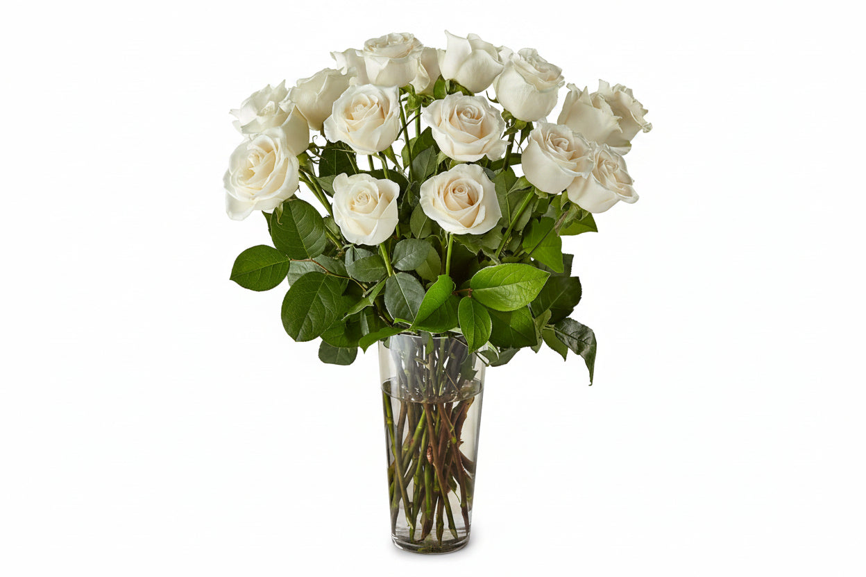Long Stem White Roses